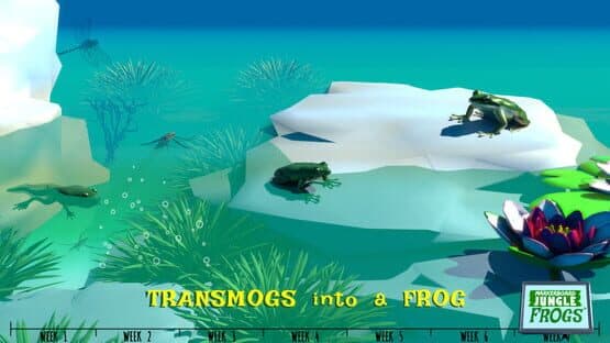 Markerboard Jungle: Frogs — screenshot 4