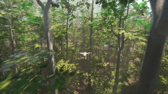 Bird — screenshot 2