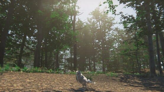 Bird — screenshot 3
