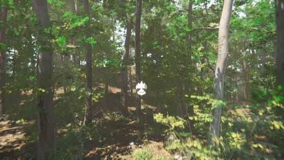 Bird — screenshot 5