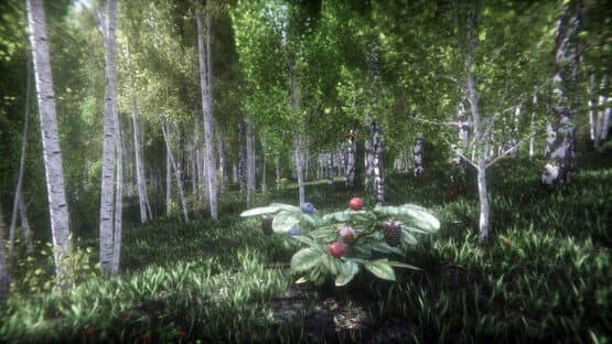 Berries Challenge — screenshot 2