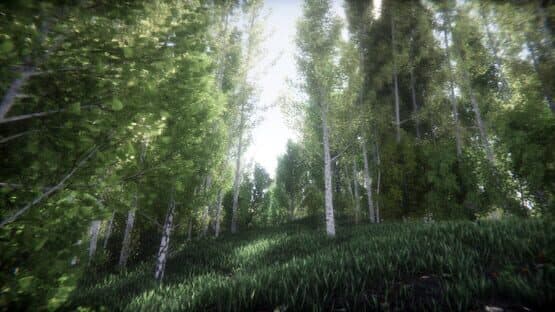 Berries Challenge — screenshot 4