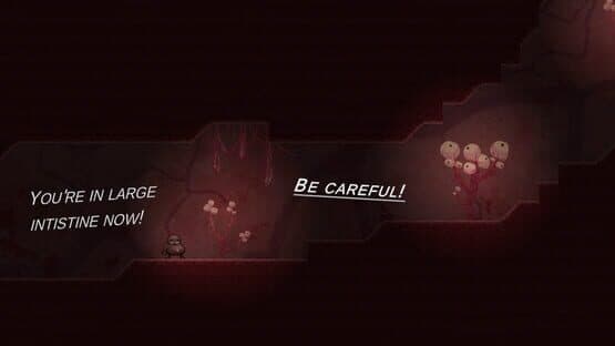 The Runaway Feijoao — screenshot 2