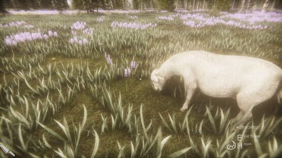 Flower Challenge — screenshot 6