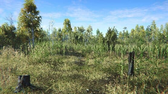 On the Hunt — screenshot 5