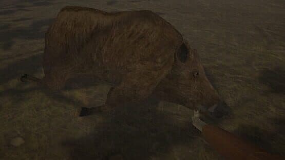 Hog Hunter 2021 — screenshot 1