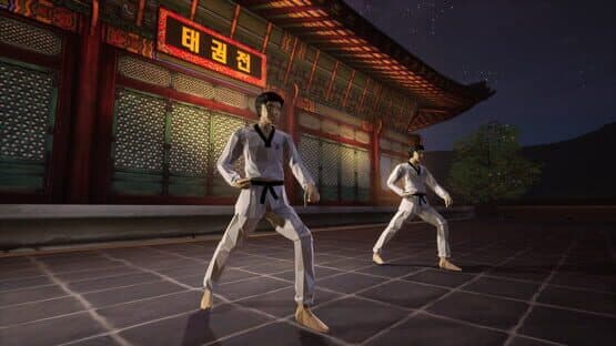 Taekwondo Demonstration Team Simulator — screenshot 5