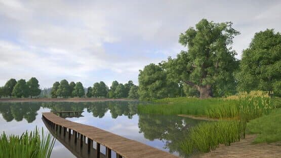 Russian Fishing 4: Amber Lake — screenshot 1