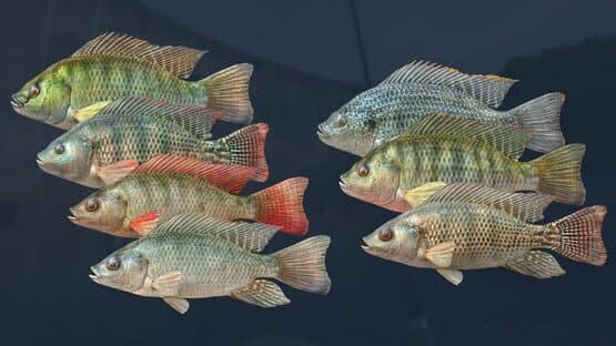 Ultimate Fishing Simulator VR: Kariba Dam — screenshot 4