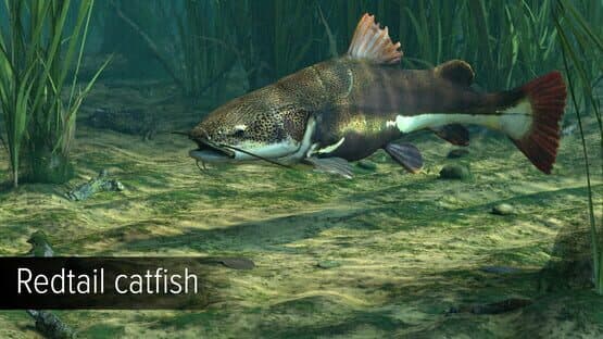 Ultimate Fishing Simulator VR: Amazon River — screenshot 3