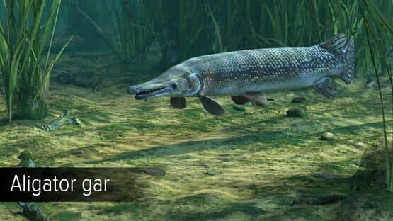 Ultimate Fishing Simulator VR: Amazon River — screenshot 8