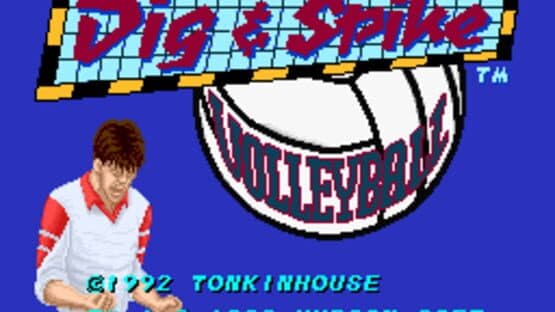 Dig & Spike Volleyball — screenshot 1