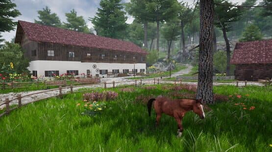 Horse Riding Deluxe 2 — screenshot 1