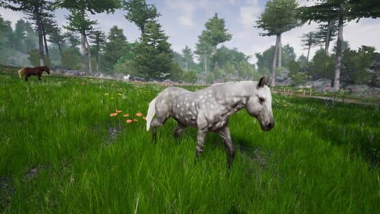 Horse Riding Deluxe 2 — screenshot 3