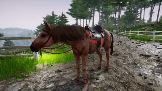 Horse Riding Deluxe 2 — screenshot 4