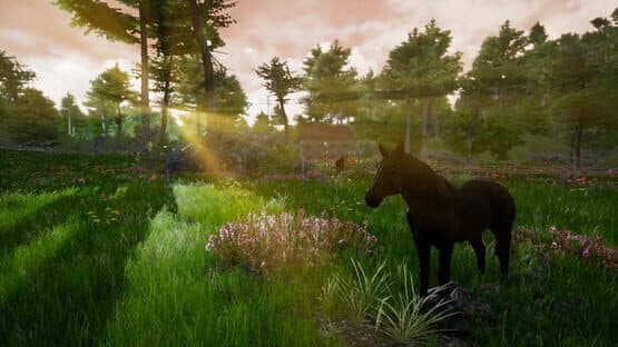 Horse Riding Deluxe 2 — screenshot 7