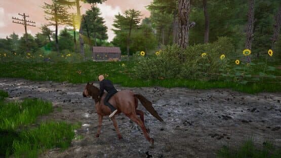 Horse Riding Deluxe 2 — screenshot 8
