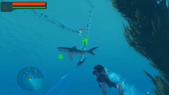 Splash King's Tournament — screenshot 8