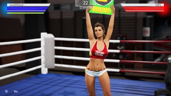 Cyber Fight Challenge — screenshot 5
