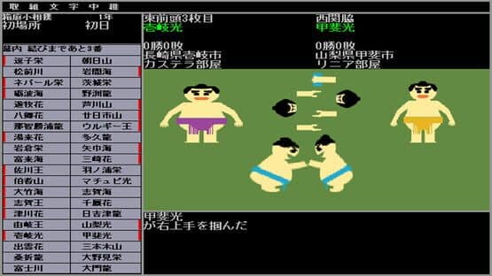 Hakoniwa Sumo — screenshot 5