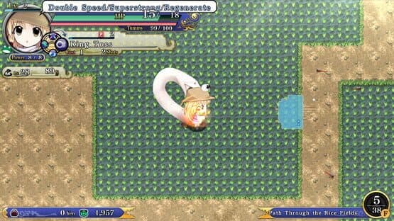 Touhou Genso Wanderer Reloaded: Suwako Moriya — screenshot 4