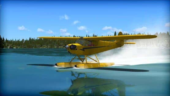 Microsoft Flight Simulator X: Steam Edition - Piper J-3 Cub — screenshot 5