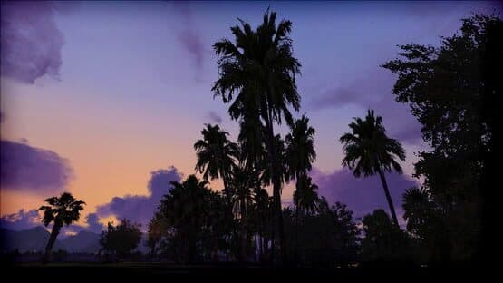 Microsoft Flight Simulator X: Steam Edition - FTX Trees HD — screenshot 2