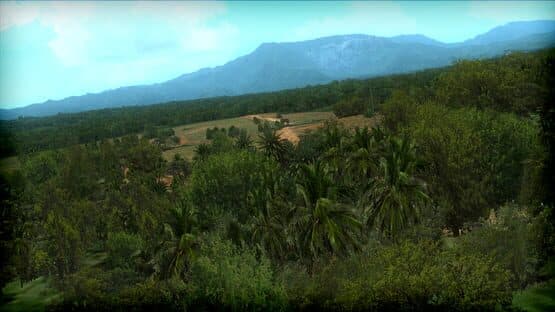 Microsoft Flight Simulator X: Steam Edition - FTX Trees HD — screenshot 3