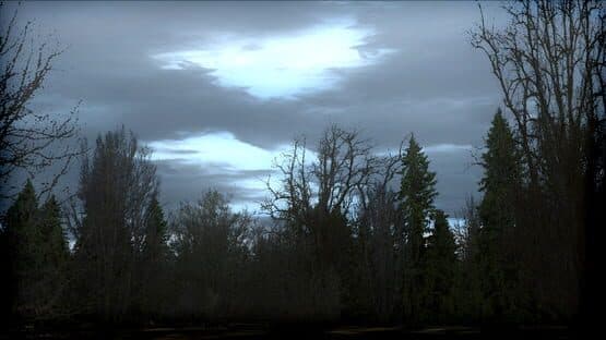 Microsoft Flight Simulator X: Steam Edition - FTX Trees HD — screenshot 5
