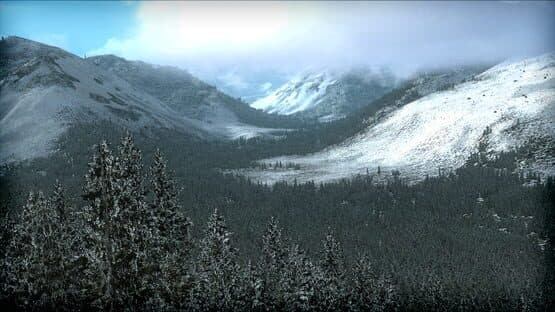 Microsoft Flight Simulator X: Steam Edition - FTX Trees HD — screenshot 6
