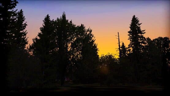 Microsoft Flight Simulator X: Steam Edition - FTX Trees HD — screenshot 7