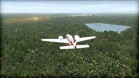 Microsoft Flight Simulator X: Steam Edition - Natural Tree Environment X — screenshot 1