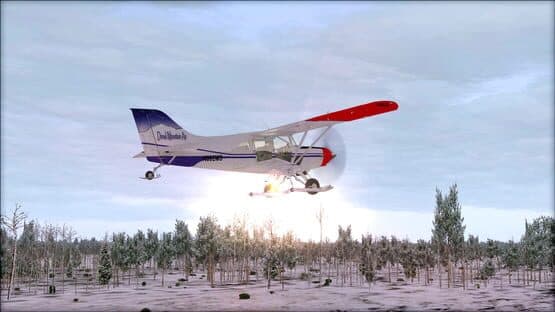 Microsoft Flight Simulator X: Steam Edition - Natural Tree Environment X — screenshot 2