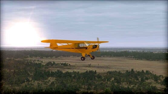 Microsoft Flight Simulator X: Steam Edition - Natural Tree Environment X — screenshot 3