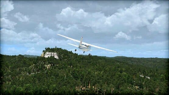 Microsoft Flight Simulator X: Steam Edition - Natural Tree Environment X — screenshot 5