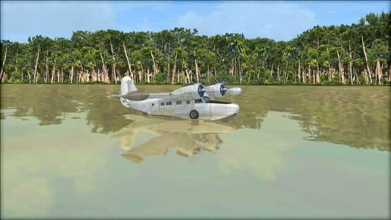 Microsoft Flight Simulator X: Steam Edition - Natural Tree Environment X — screenshot 7