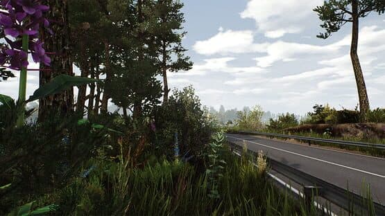 Fernbus Simulator: Usedom — screenshot 1