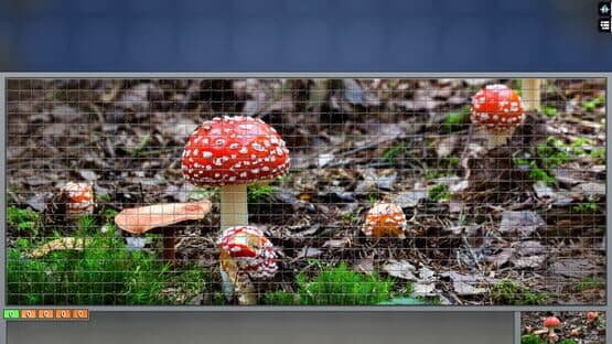 Pixel Puzzles Ultimate: Variety Pack XXL — screenshot 2