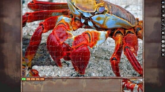 Pixel Puzzles Ultimate: Macro — screenshot 4