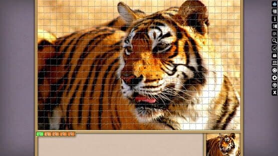 Pixel Puzzles Ultimate: India — screenshot 4