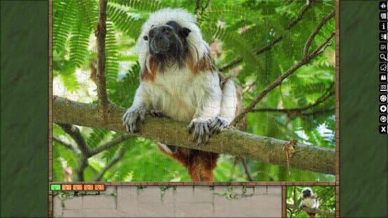 Pixel Puzzles Ultimate: Primates — screenshot 5