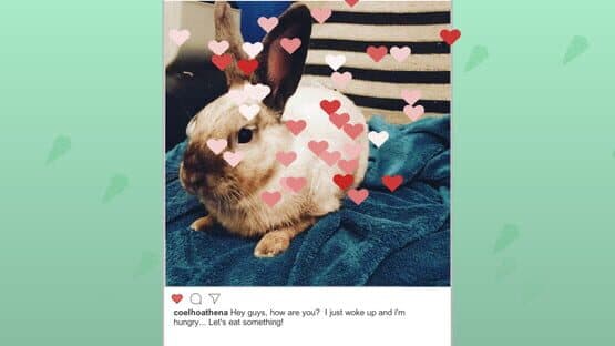 Athena, the rabbit: Jigsaw Puzzle — screenshot 4