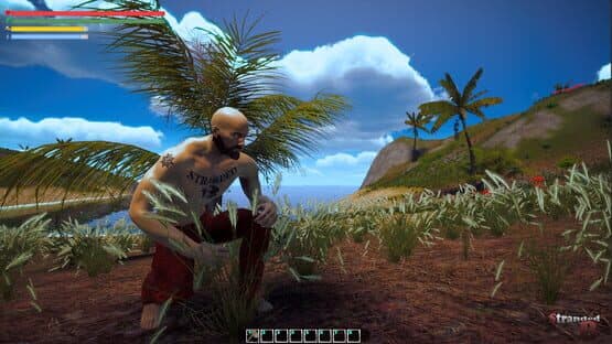 Stranded B — screenshot 2