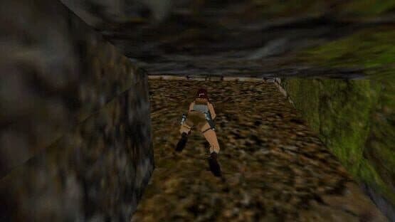 Tomb Raider: The Lost Artifact — screenshot 2