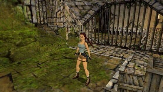 Tomb Raider: The Lost Artifact — screenshot 3