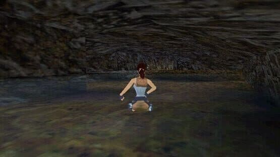 Tomb Raider: The Lost Artifact — screenshot 4