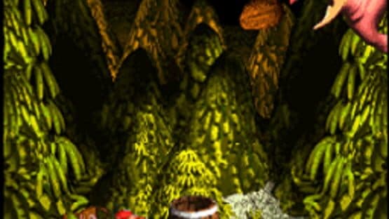 DKDC: Donkey Kong Distortion Country — screenshot 1