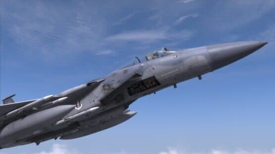 DCS World: F-15C — screenshot 3
