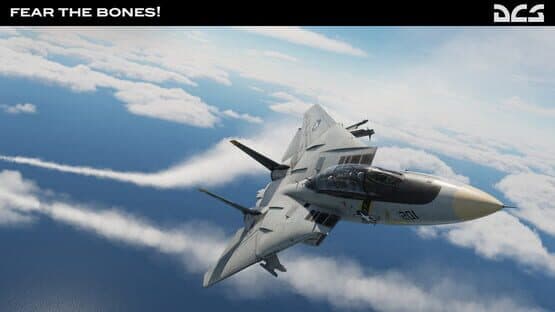 DCS World: F-14A Fear the Bones Campaign — screenshot 3