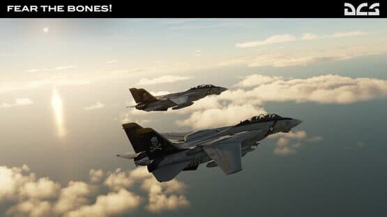 DCS World: F-14A Fear the Bones Campaign — screenshot 6